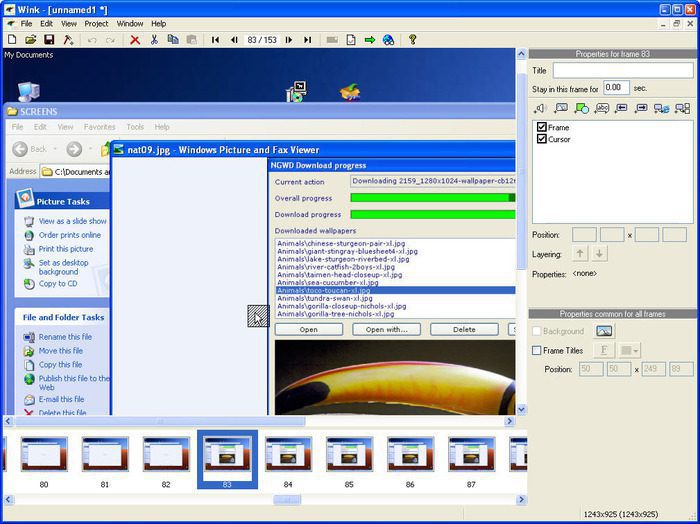 Wink Presentation Software