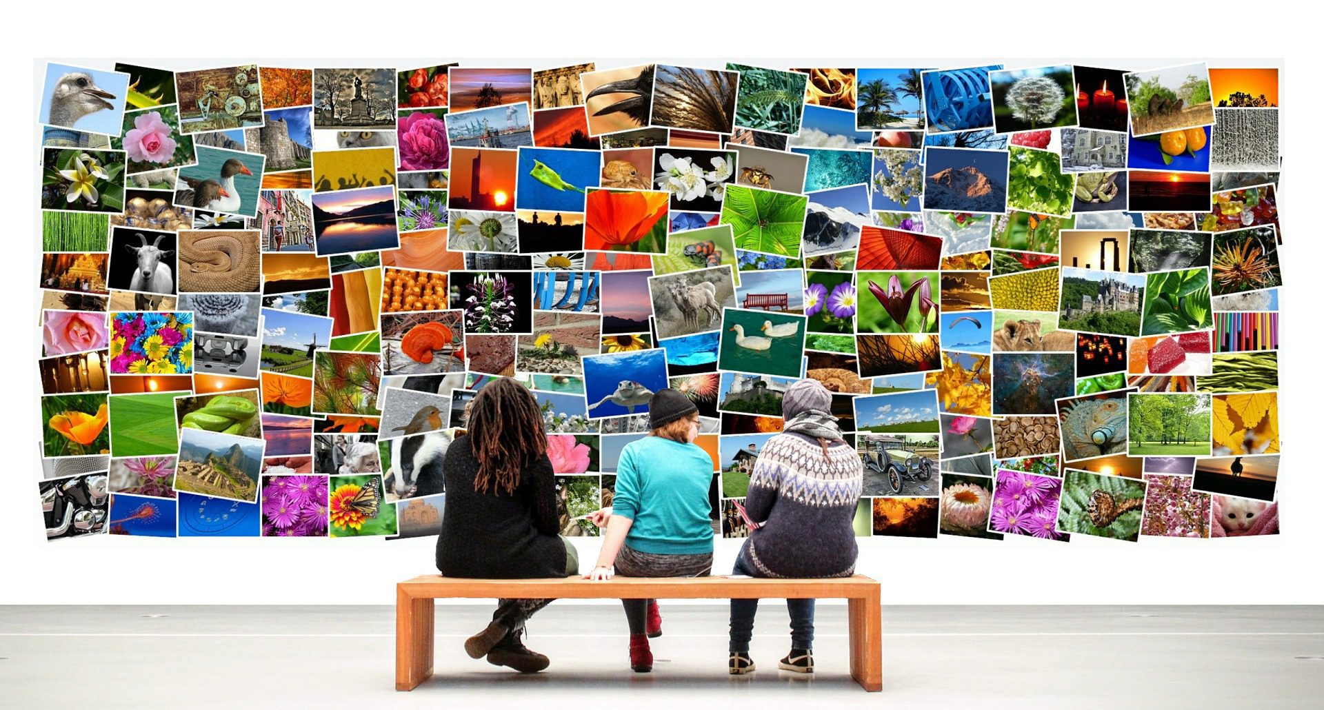 Read more about the article Top 18 Websites for Free Stock Photos – The Definitive List!